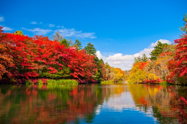 紅葉狩りでリハビリ！自然と共に歩む癒しの時間